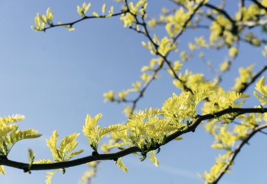 저공해차 스티커 발급