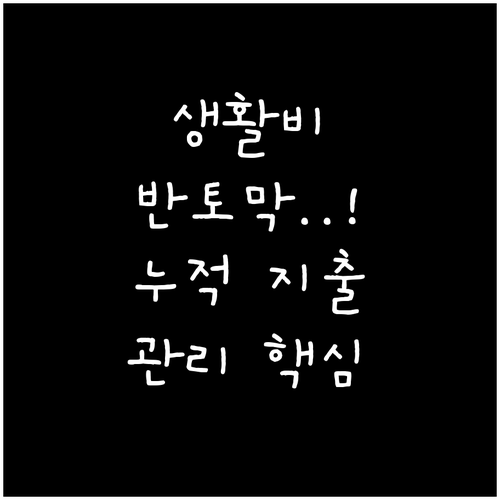 월 단위 누적 지출 관리로 생활비 절..