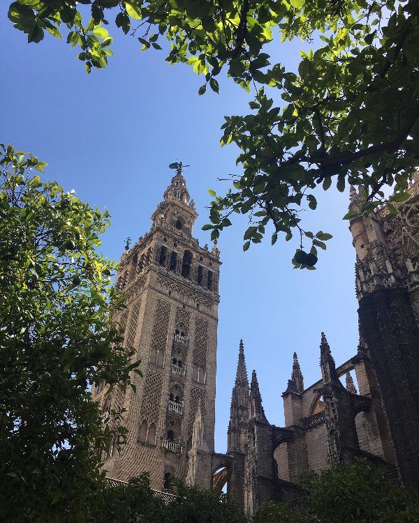 세비야 대성당 (Sevilla Cathedral)