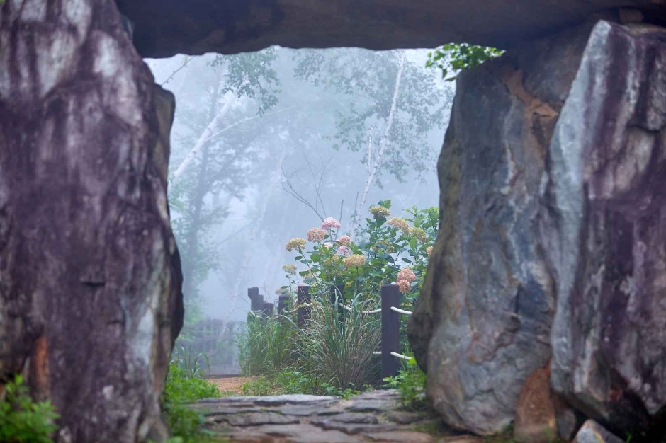 정선 로미지안 가든