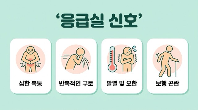 맹장염 응급실 신호 심한 오른쪽 아랫배 통증 구토 발열 걷기 힘듦