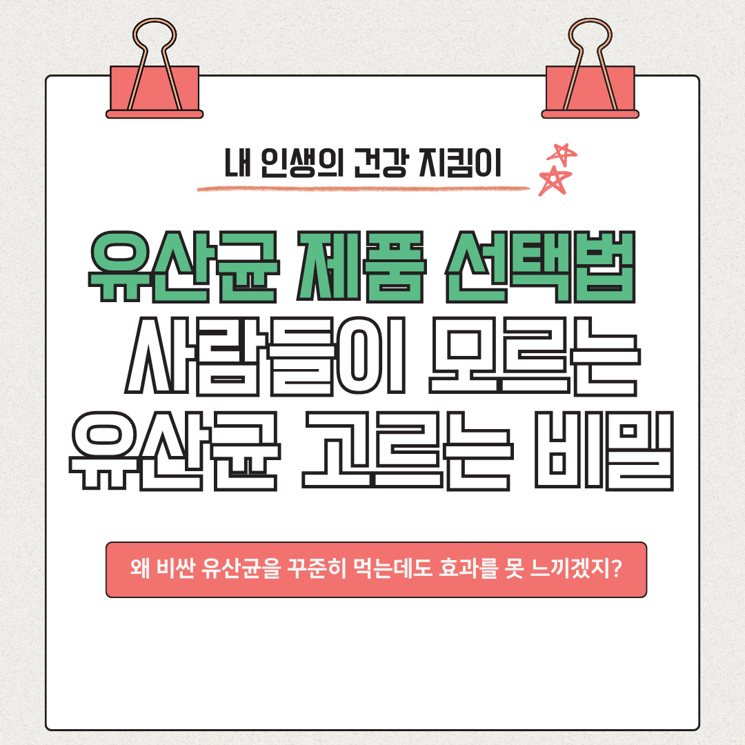 유산균 제품 선택법 총정리