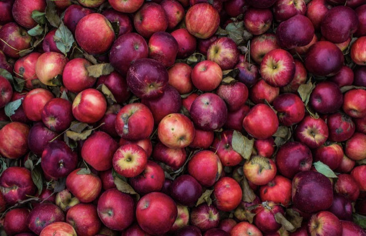 유방암에 좋은 과일 BEST5