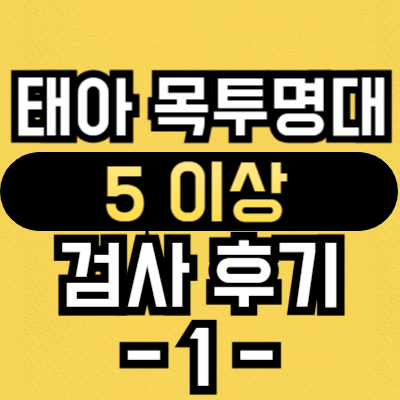 태아-목투명대-5이상-검사-후기-1