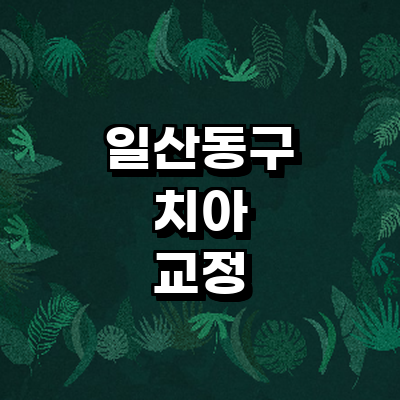 고양 일산동구 교정 치과