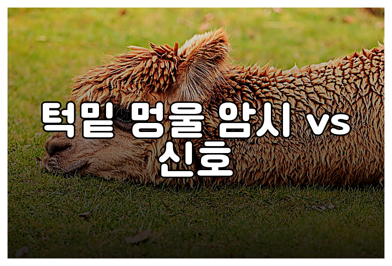 턱밑 멍울 암시 vs 신호