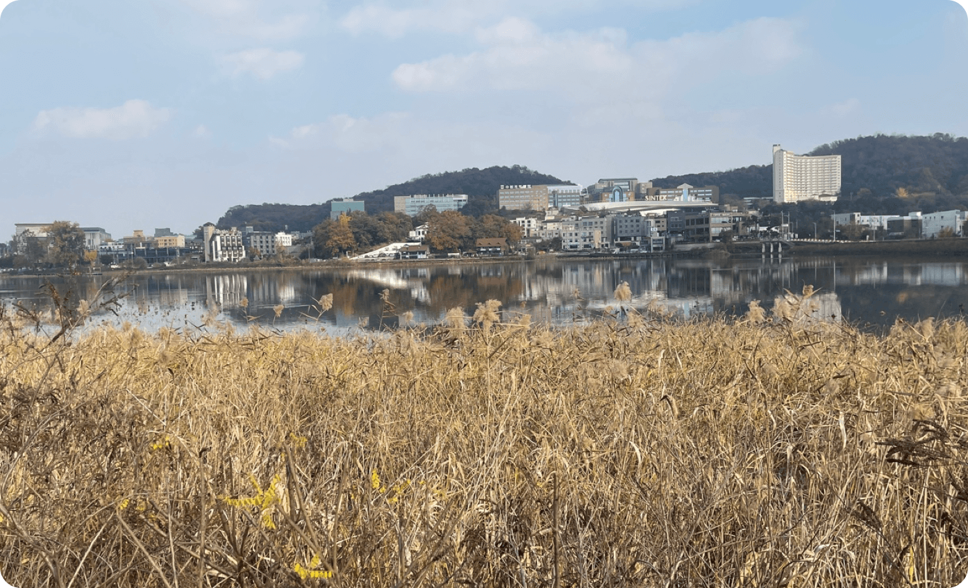 갈대와 저수지 뷰가 좋은 가을 시즌!
