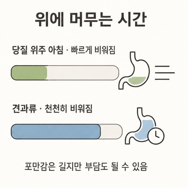 위에 머무는 시간 비교, 당질 위주 아침과 견과류의 소화 속도를 나타낸 가로 막대 도표
