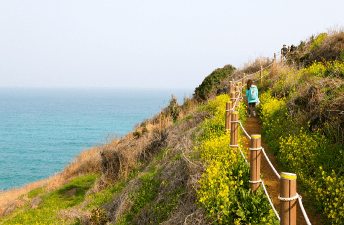함덕 해수욕장 (제주시)