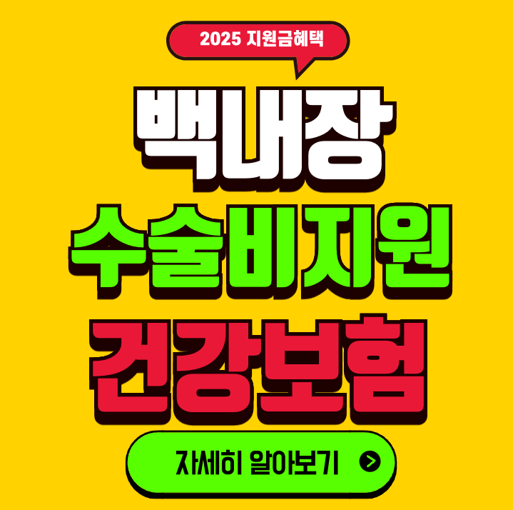 백내장 수술 지원금