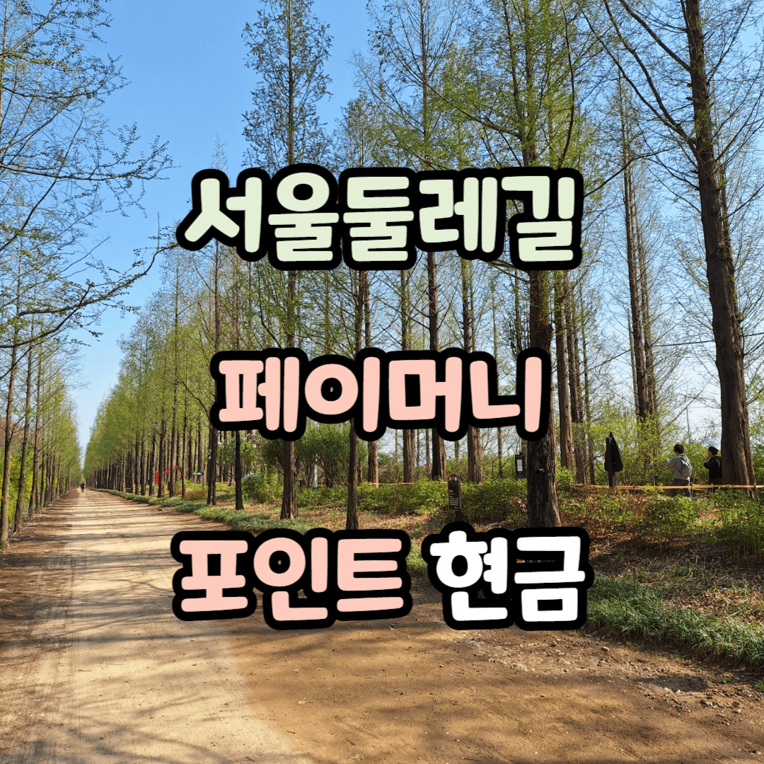 서울둘레길 걷기 앱테크로 페이머니 포인트 현금받기