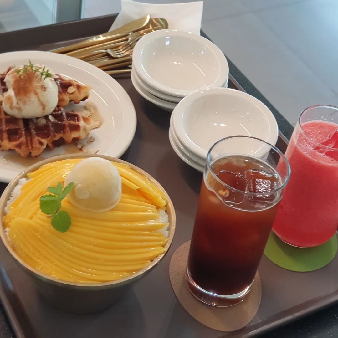 토요일은 밥이좋아 토밥 국내산 노란 꽃이 활짝 핀 생 망고빙수, 팥빙수, 애플망고 빙수 디저트 카페 경주 맛집 추천 토밥즈 방송정보
