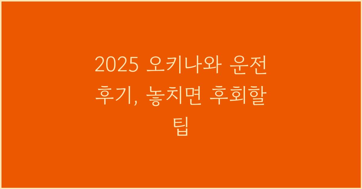 2025 오키나와 운전 후기