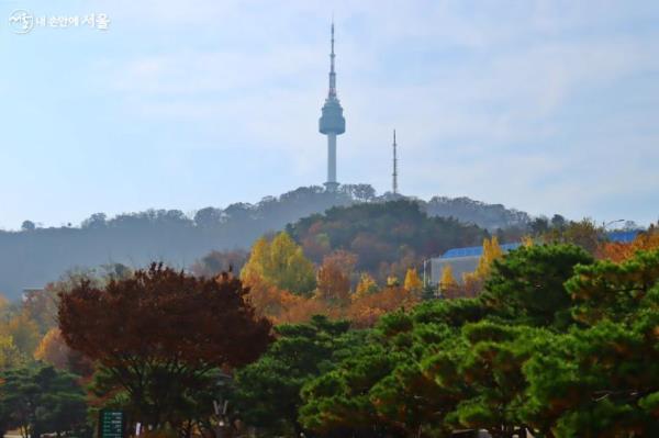 가을 끝자락 마지막 단풍을 즐기기 위해 남산을 올랐다. ⓒ정향선