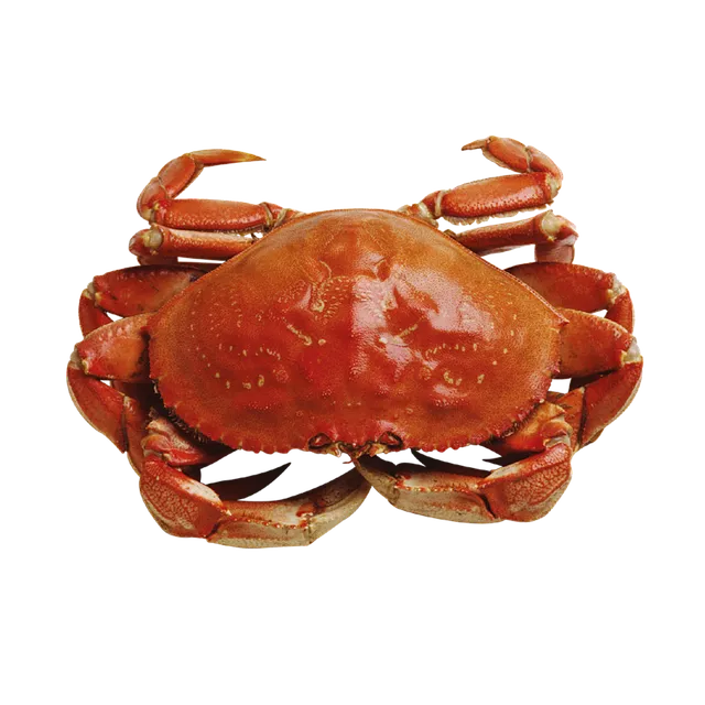 여름철 제철 해산물 추천 리스트 및 요리 활용법 안내_2