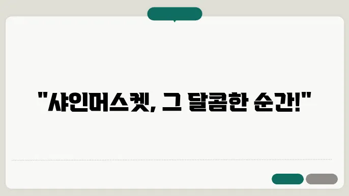샤인머스켓 계절