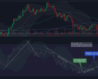 rsi보조지표 보는법 사이트 소개