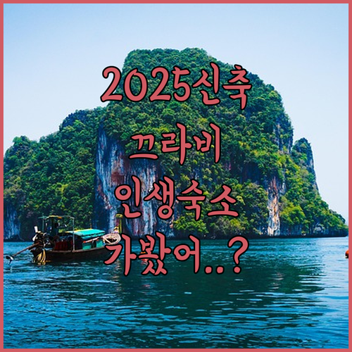 2025년 신축 호텔부터 루프탑 수영..