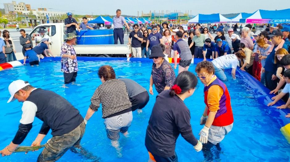 겨울 가족 나들이 추천! 홍성바다송어 축제 꿀팁 총정리