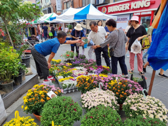 양평 5일장 장날 일정