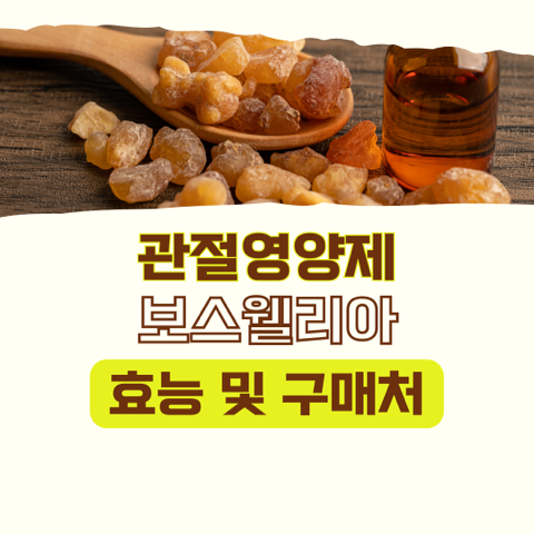 썸네일 이미지 입니다.