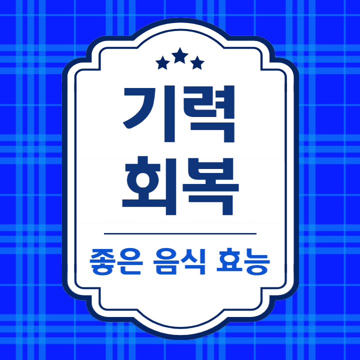 기력회복에 좋은 음식 효능