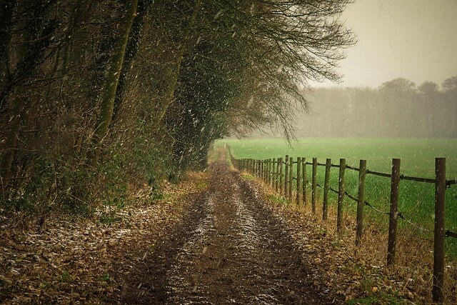꽃가루 알레르기란?