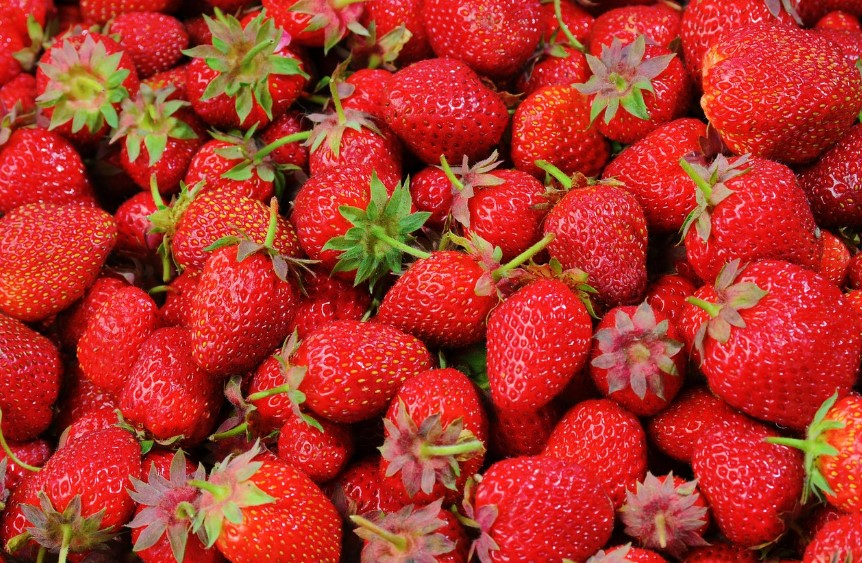 논산 딸기축제 관련 이미지