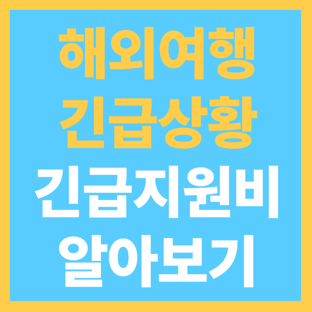 재외국민 긴급지원제도