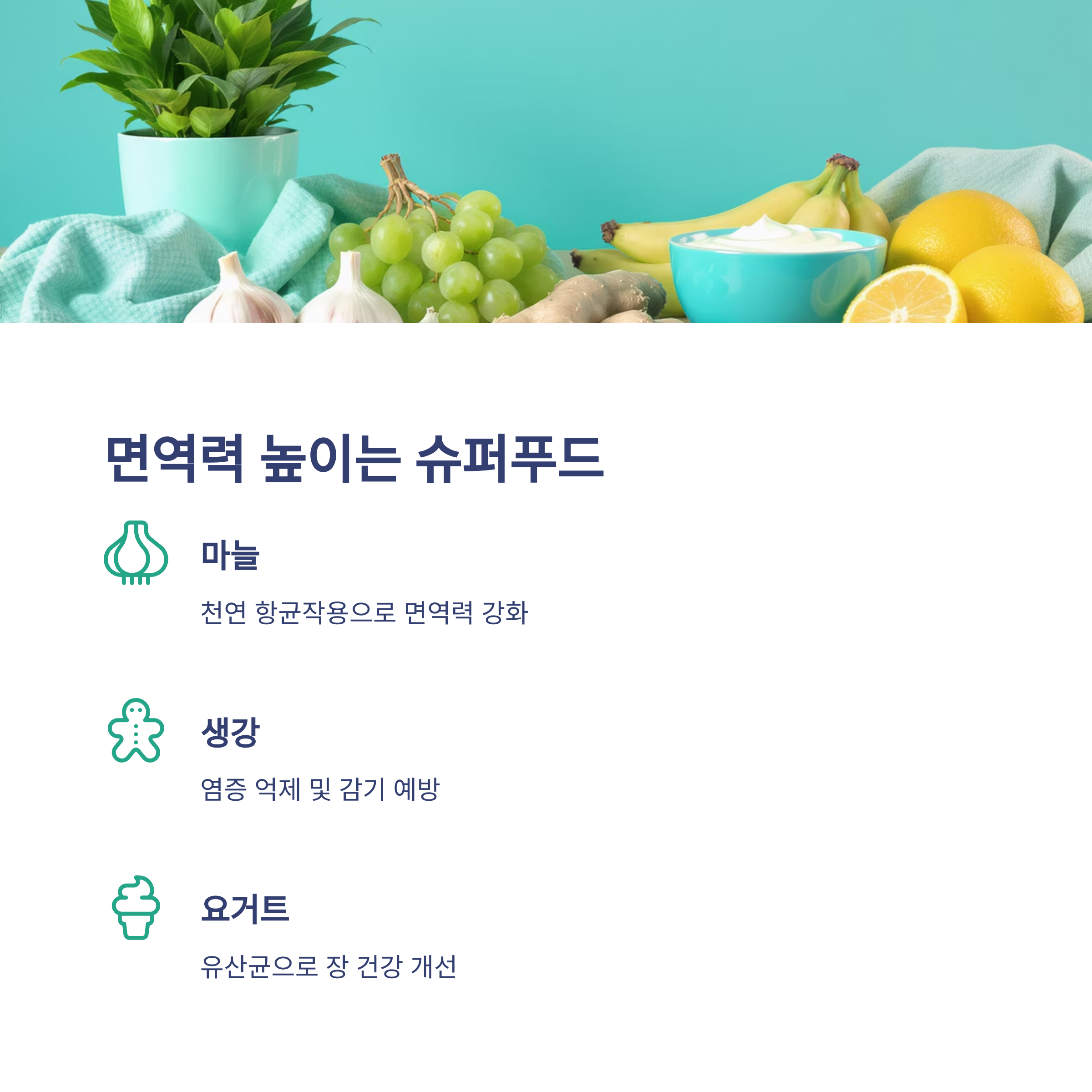 면역력 높이는 음식들 관련 사진