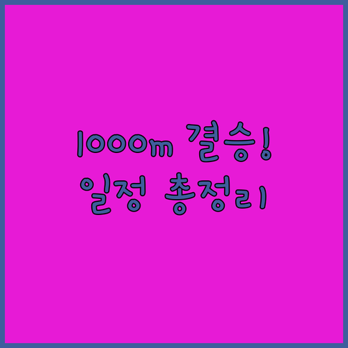 스피드스케이팅 1000m 결승 일정 ..