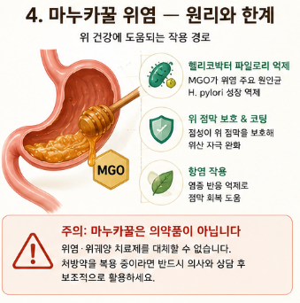 마누카꿀-효능-복용-용량-위염-영향-유통기한-추천-제품