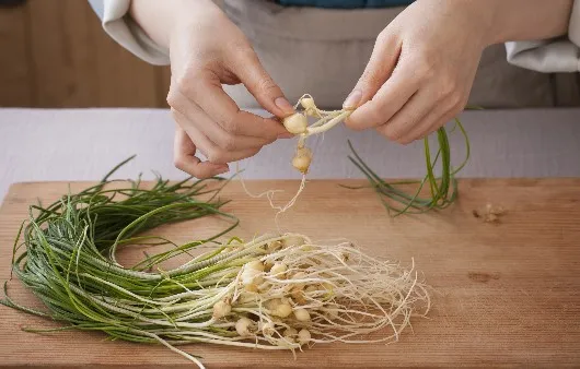 달래 손질 방법 달래장 맛있게 꿀팁_4
