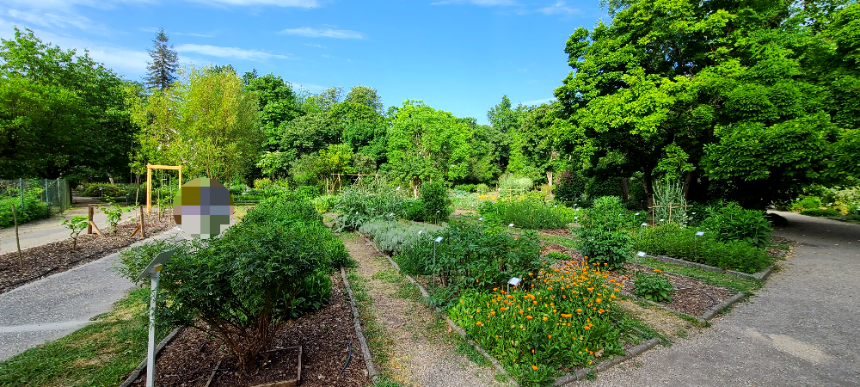 보르도 식물원(Jardin Public)-듀 쟈흐당 쀼블릭 식물원