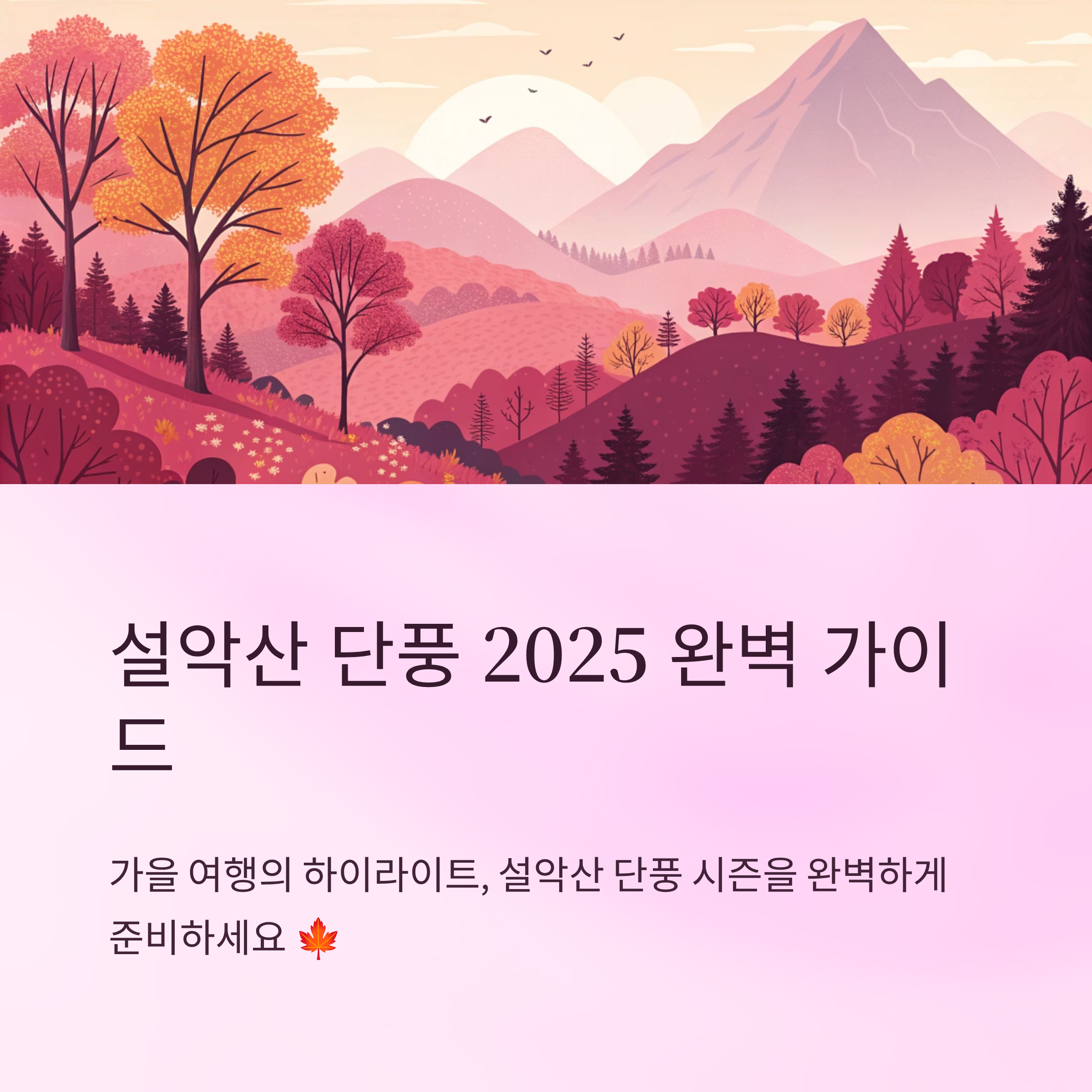 설악산 단풍시기 2025 예측과 꿀팁 총정리