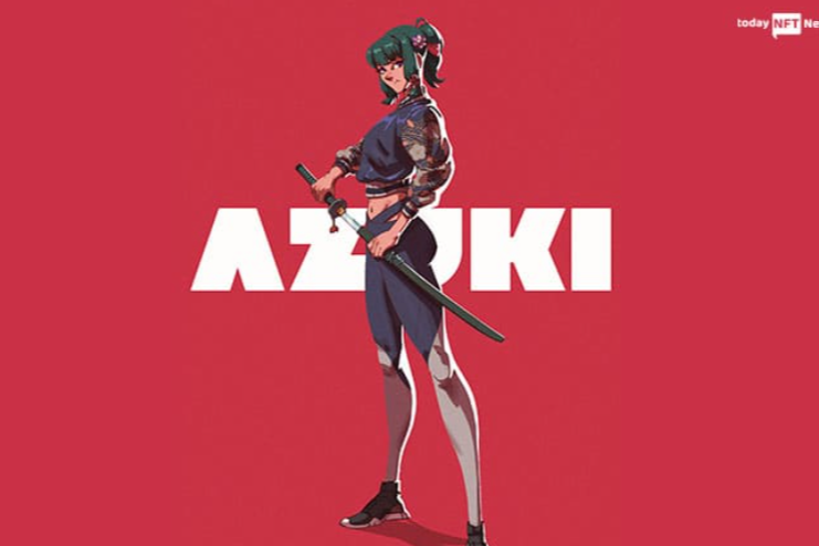 애니메코인 2025년 투자 전망