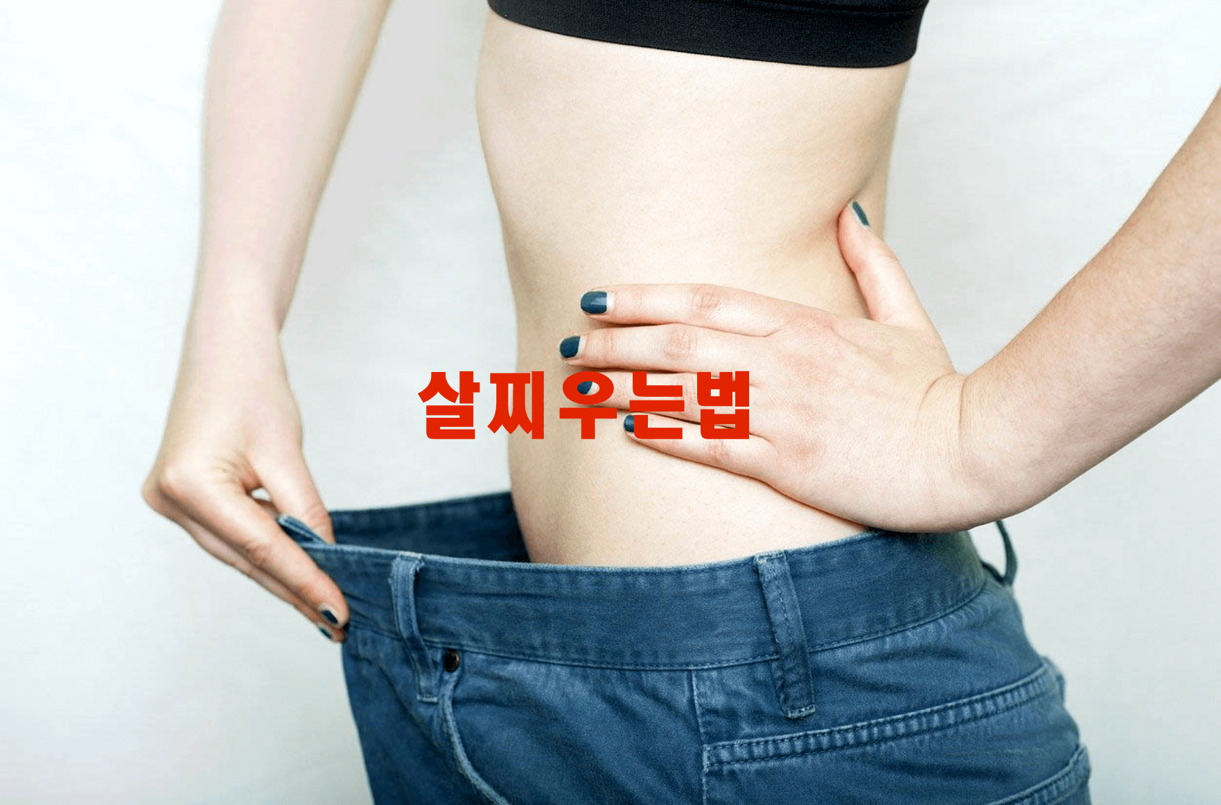 살찌우는법