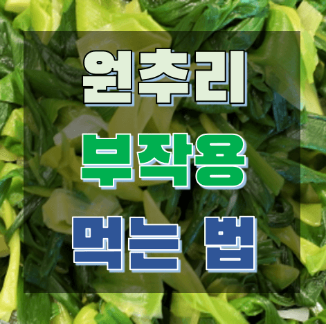 원추리 부작용 없이 먹는 법