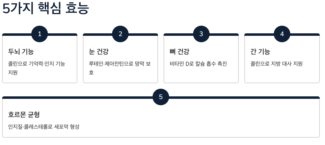 달걀 노른자 효능 TOP5