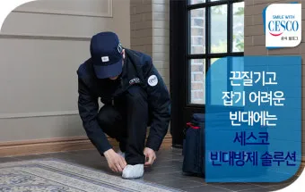 속담 빈대 잡으려고 초가삼간 태운다 의미와 예시_24