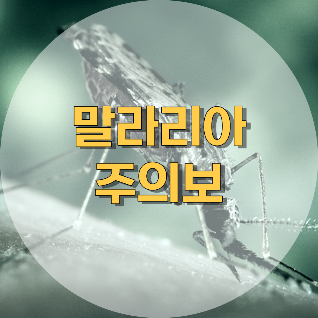 말라리아 주의보