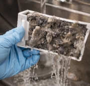 세탁기 청소하는방법