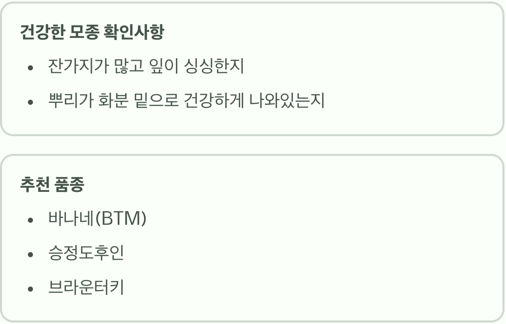 첫 단추가 중요해요, 튼튼한 모종 고르기