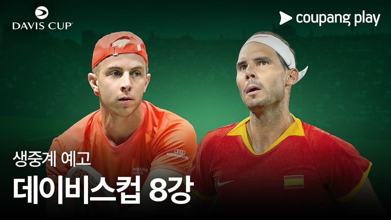 데이비스컵 파이널스