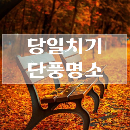 당일치기-단풍여행