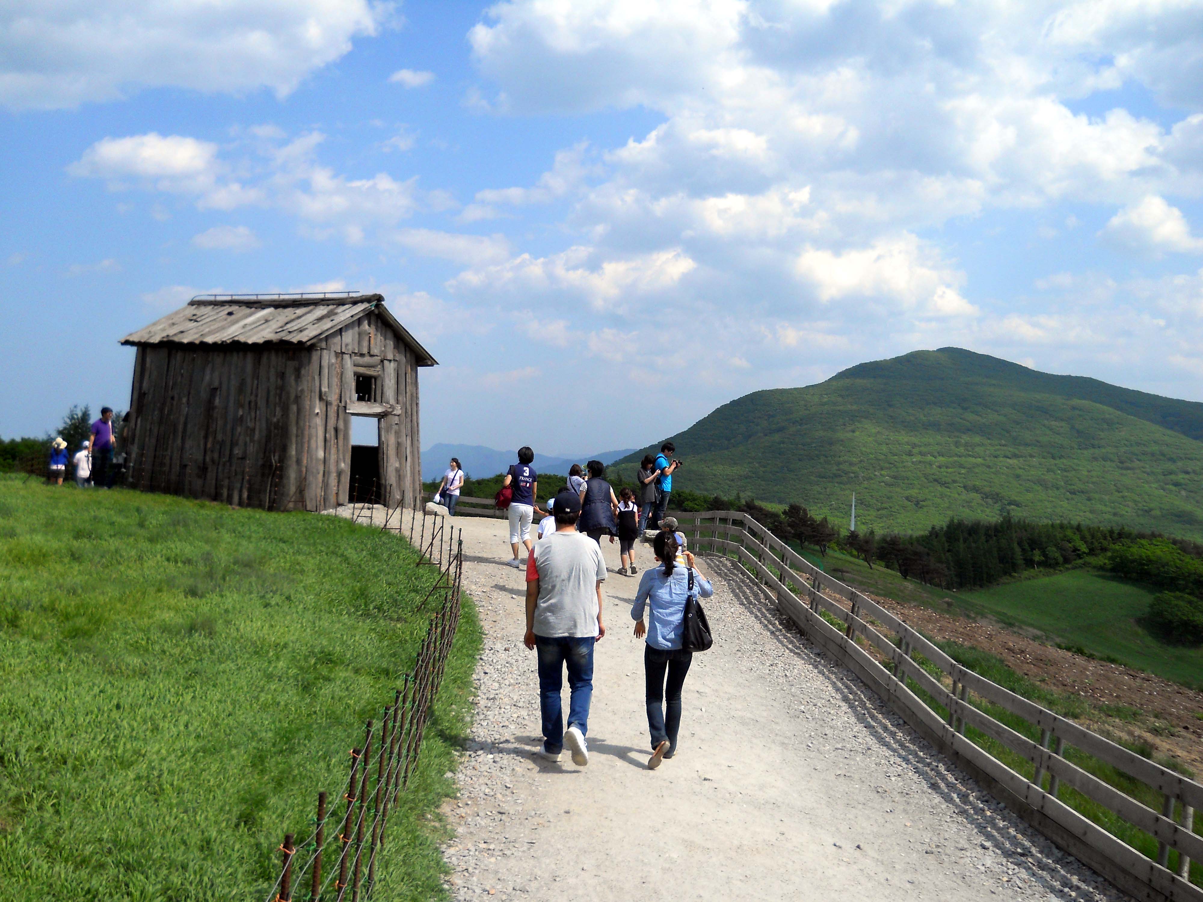 대관령 양떼목장(Daegwallyeong Sheep Farm)