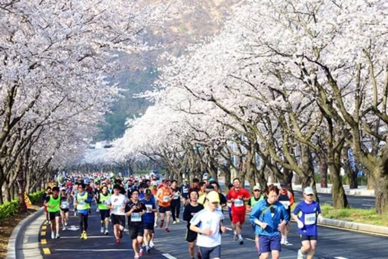 4월 전국 마라톤 대회 관련 사진