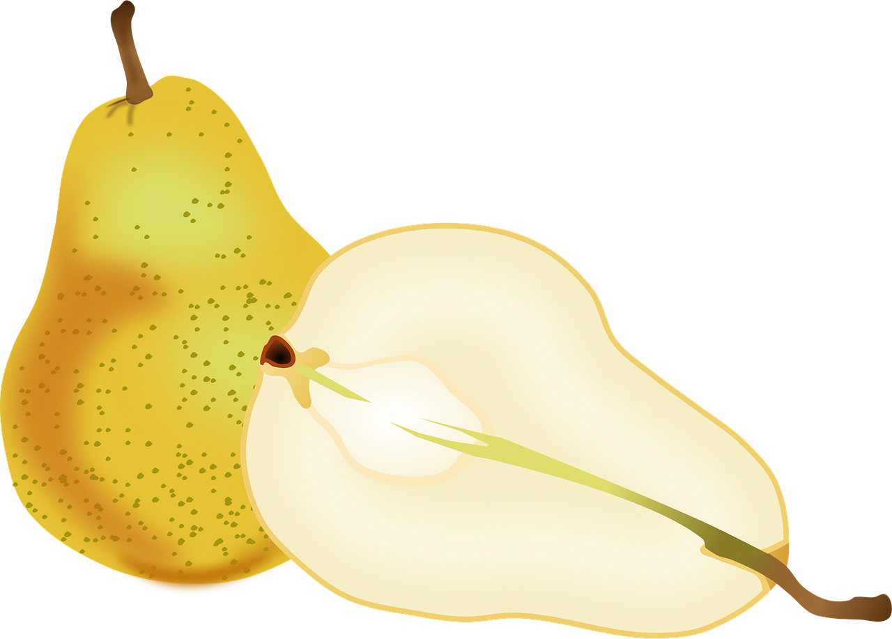 과일 관련 사진