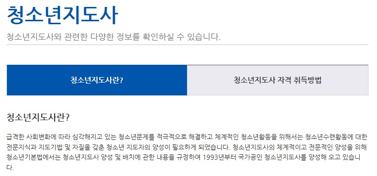 청소년지도사란 무엇인지, 어떤 목적과 사회적 필요성으로 만들어진 국가자격인지에 대해 청소년기본법에 근거하여 설명한 공식 안내문 이미지. 실제 청소년 수련활동과 청소년문제 해결에 직접적으로 연관된 자격임을 설명.