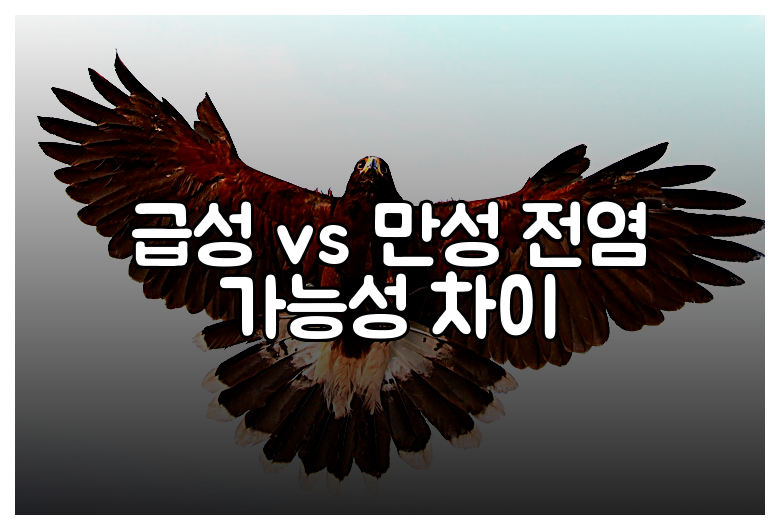 급성 vs 만성 전염 가능성 차이